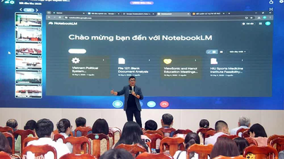 Strengthening solutions to promote digital transformation