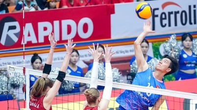 เตวียนหลั่งน้ำตา ทันห์ ถุ่ย มีอารมณ์ร่วมในวีทีว฽