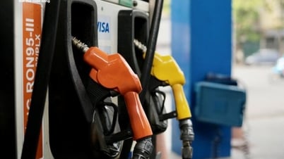 Giá xăng dầu hôm nay 7/7: Tiếp tục giảm