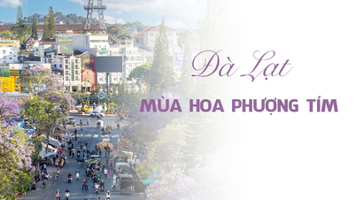 Khám phá mùa hoa phượng tím Đà Lạt: Vẻ đẹp dịu dàng, lãng mạn của “Thành phố ngàn hoa”