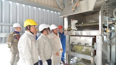 BSR produziert erfolgreich neues granuliertes Schwefelprodukt