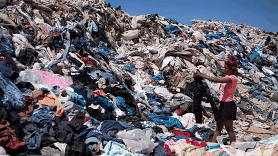 Fast fashion and its environmental impact