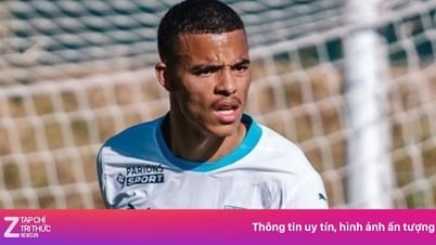 Los campeones asiáticos ofrecen comprar Greenwood por un precio récord