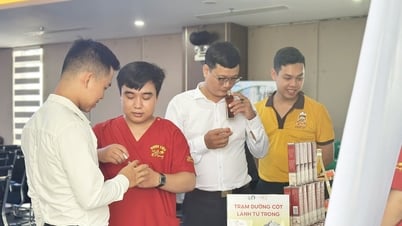 Dược liệu xanh Đà Nẵng: Hành trình khởi nghiệp của tinh dầu Nhất Phong