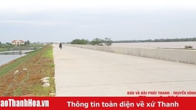 Khẩn trương thi công công trình đê điều phòng, chống thiên tai
