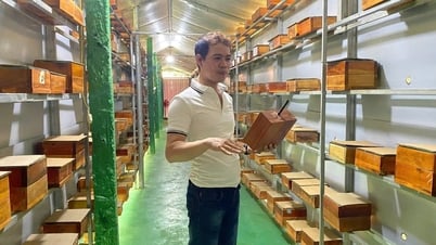 Bắt ong “định cư”