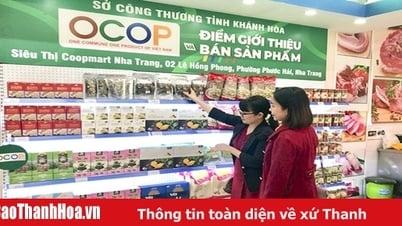 Le travail d'évaluation et de classification des produits OCOP est division en 2 niveaux.