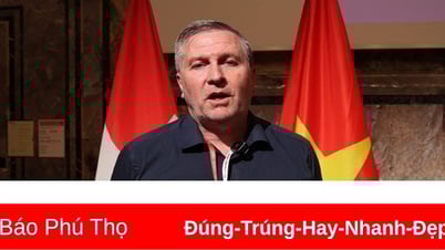 Doanh nghiệp Thụy Sĩ đặt kỳ vọng vào trung tâm tài chính quốc tế ở Việt Nam