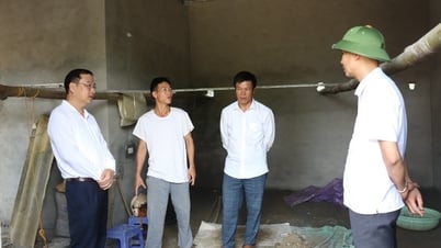 การตัดการรื้อถอนบ้านชั่วคราวและในส่วนนี้ของโทฤ