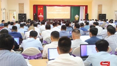 Tập huấn nghiệp vụ quản lý nhà nước trong lĩnh vực đất đai cho 75 xã, phường
