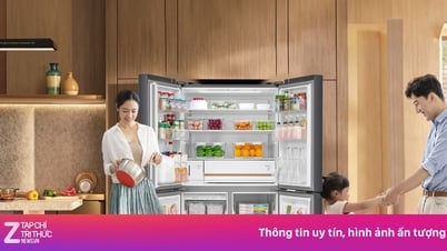 東芝 NaturePure 711l 冷蔵庫で食品を保管し、健康を守りましょう