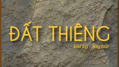 La "Tierra Sagrada" de Phong Nguyen: Un viaje para descifrar el alma de la tierra y el eco de la soberanía