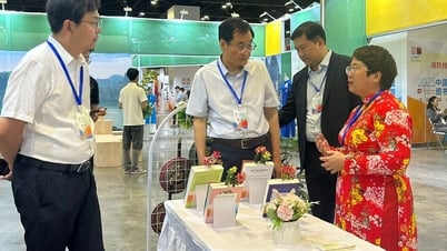 Giao lưu văn hóa, xuất bản ở Tuần lễ văn hóa ASEAN tại Trung Quốc