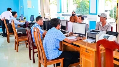 Ensure smooth and effective operation of each level of government