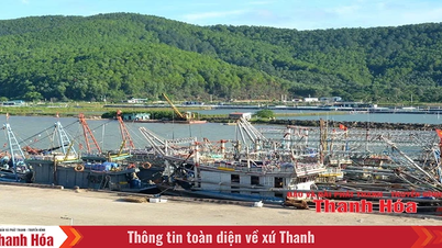 Hoa Loc និង​ជំរក​ទូក​នេសាទ Lach Truong