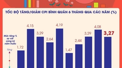 6 tháng đầu năm 2025: Chỉ số giá tiêu dùng (CPI) bình quân tăng 3,27%