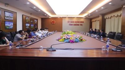 Phó Chủ tịch UBND tỉnh Lê Đức Tiến làm việc với Tập đoàn SCAVI