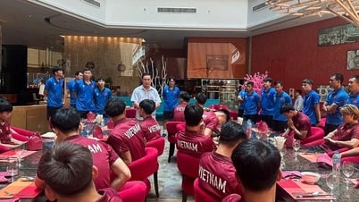 บริษัท VFF ออลอินห์ตู U23