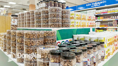 Dong Nai adapts to enhance the value of OCOP products