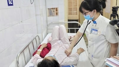Ciudad de Hue: Activación del procedimiento de alerta roja interna para tratar a pacientes con estreptococo suis