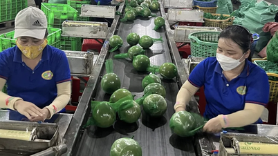 UOB: «La política fiscal sigue siendo un obstáculo importante para Vietnam»