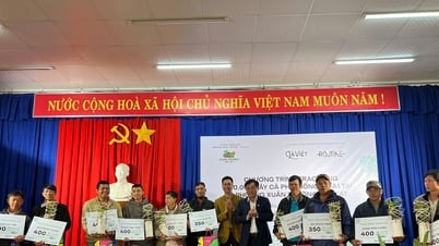 Trao tặng 10.000 cây cà phê giống chất lượng cao cho nông dân