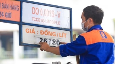 តម្លៃសាំង 8 ឆ្នាំ 2025: Sharp ព័ត៌មានបន្ថែម