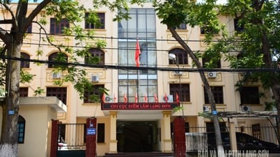 Thông tin địa chỉ Chi cục Kiểm lâm tỉnh và các đơn vị trực thuộc