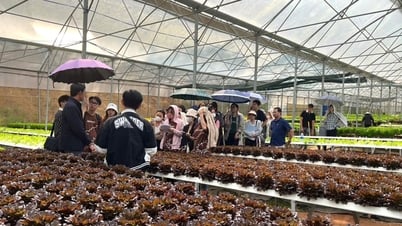 Des solutions pour que le secteur agricole se développe comme prévu