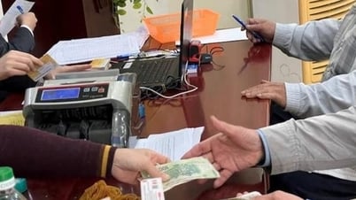 مزيد من المعلومات والمدن