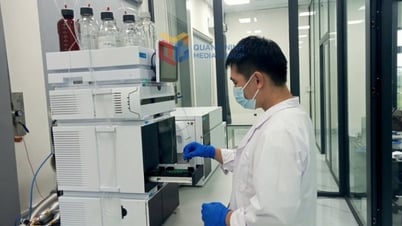 Thúc đẩy hoạt động xuất khẩu nông sản qua địa bàn tỉnh Quảng Ninh