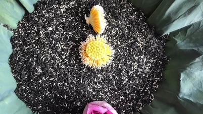 Loại trà đắt đỏ nhất Hà Nội, giá hơn 10 triệu đồng/kg được chế biến thế nào?
