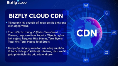Acelere las ventas online con Bizfly CDN: una solución excepcional para empresas en la era digital