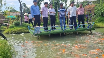 ខឺ និងសួនអេកូឡូស៊ី
