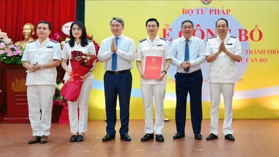 Bekanntgabe der Einrichtung der Zivilgerichtsvollstreckung in Hanoi und der Einstellung von Personal