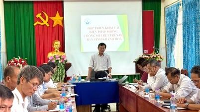 マラリア予防と管理の推進を継続する