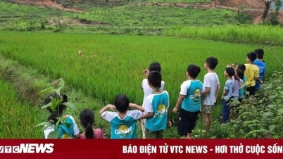 Trại hè bị chê như ‘học kỳ đi đày’, nhiều phụ huynh vội quay xe