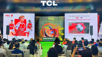 شاهد المزيد: TCL فيتنام شاهد المزيد