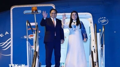 مزيد من المعلومات