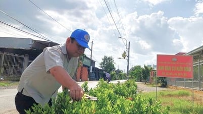 Trưởng ấp tận tâm trong công việc
