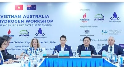 PV GAS: расширение рынка и достижение прорывов в бизнесе