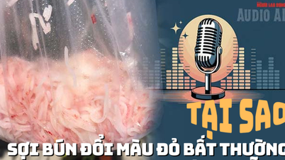 Audio: Why did the noodles turn an unusual red color in Da Nang?
