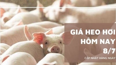 Цена на свинину сегодня, 8 июля: скидка на 1000 донгов/кг на юге.