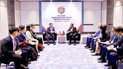 รองผู้อำนวยการและสถาบันการศึกษาว่าการกระทรวงการต่างประเทศ บุ่ยทันห์ห์ กอนด้า เข้าพบรองในเรื่องและ ะกระทรวงการต่างประเทศและร่วมการควบคุมในพื้นที่สำรวจ