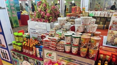Diversifier le marché de la consommation du fruit du dragon