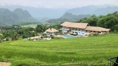 Khám phá mùa vàng trên đỉnh Pù Luông