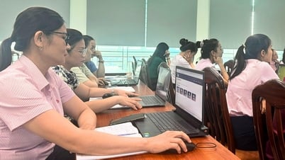 Tập huấn vận hành hệ thống Intellect - phiên bản nâng cấp