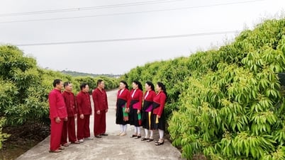 Bắc Ninh: Dân ca Soọng cô và nghề làm bánh đa nem Thổ Hà được công nhận là di sản văn hóa phi vật thể quốc gia