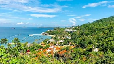 Đà Nẵng: “Kho báu” du lịch sinh thái chờ khai mở