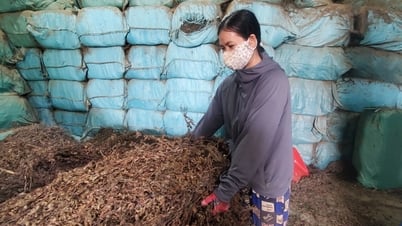 Gỡ khó cho hàng xuất ngoại